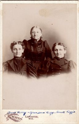 Anna Elizabeth Brueck Napp, Elizabeth “Lizzie” Napp Jeidy & Maria Margretha “Mary” Napp Vesperman

This was Donated by Cheryl Webber/The Terry Girls Genealogy.

This Cabinet Card Photo States: "Aunt Mary, Grandma Napp & Aunt Lizzie"

The Photographers name is "Watton", Lancaster, Wisconsin
