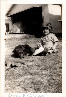 Linda & Gringo

THIS HAS BEEN RETURNED TO FAMILY

This was Donated by by Cheryl Webber/The Terry Girls Genealogy.

This Photo states: "Linda & Gringo"
