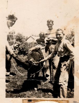 Unidentified

THIS HAS BEEN RETURNED TO FAMILY

This was Donated by by Cheryl Webber/The Terry Girls Genealogy.

Unidentified photo in the Nellie Anna Ruff Pittman Family Album.
