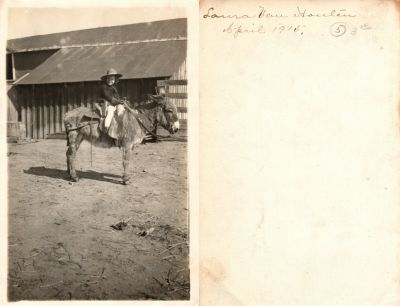 Laura Effa Van Houten

This was Donated by Carolyn F. Hall

This photo states: "Laura Van Houten, April 1915"
