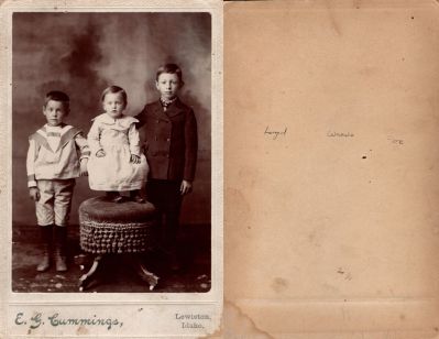 Lloyd Peter Terteling, Waldo Emerson Terteling & Joseph Wesley Terteling

THIS HAS BEEN RETURNED TO FAMILY

This was Donated by DFW

This Cabinet Card Photo states: "Lloyd, Waldo & Joe"

The Photographers name is "Cummings", Lewiston, Idaho
