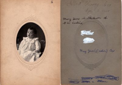 Albert H. Cox

This photo mounted on board states: "Albert Harvey or Harry Cox, age 6 months. Mary Jane is the sister of G. W. Vickers. Mary Jane (Vickers) Cox"

