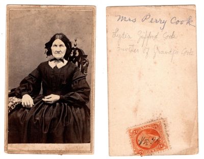 Lydia Gifford Cook

This CdV Photograph states: "Mrs. Perry Cook. Lydia Gifford Cook, mother of grandpa Cook"
