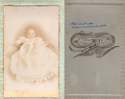 Olga Anderson

This was Donated by Cheryl Webber.

This Cabinet Card Photo States: "Olga Anderson, Andrew Anderson daughter"

The Photographers name is "J. B. Long", Sheridan, Oregon.
