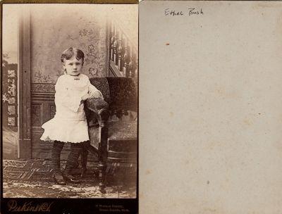 Ethel Bush

This Cabinet Card Photo States: "Ethel Bush"

The Photographers name is "Perkins & Co.", Grand Rapids, Michigan
